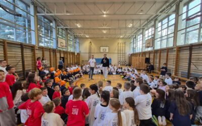 PREVENCIJA SUKOBA U SPORTU I POTICANJE KULTURE NENASILJA